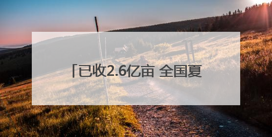 已收2.6亿亩 全国夏粮小麦进入收获高峰期