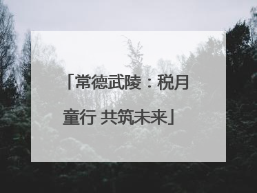 常德武陵：税月童行 共筑未来