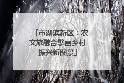 市湖滨新区：农文旅融合擘画乡村振兴新图景