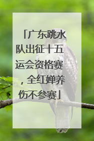 广东跳水队出征十五运会资格赛，全红婵养伤不参赛