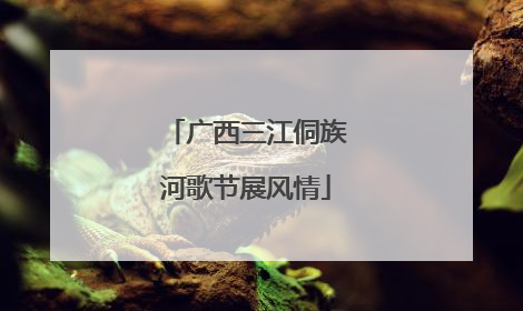 广西三江侗族河歌节展风情
