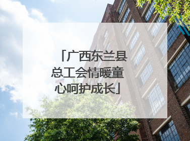 广西东兰县总工会情暖童心呵护成长