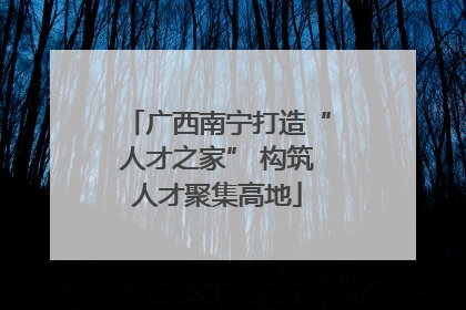 广西南宁打造“人才之家” 构筑人才聚集高地