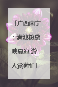 广西南宁：满池粉黛映夏凉 游人赏荷忙