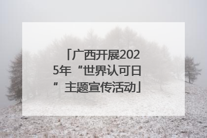 广西开展2025年“世界认可日”主题宣传活动