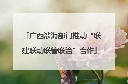 广西涉海部门推动“联建联动联管联治”合作