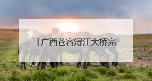 广西苍容浔江大桥完成钢箱梁环缝焊接 将进入桥面铺装阶段