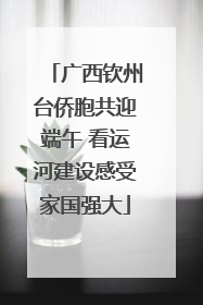 广西钦州台侨胞共迎端午 看运河建设感受家国强大
