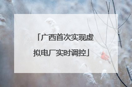 广西首次实现虚拟电厂实时调控