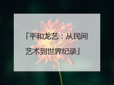 平和龙艺：从民间艺术到世界纪录