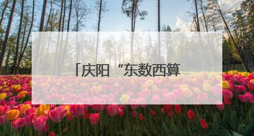 庆阳“东数西算”智慧低碳园区实践项目亮相第三届上海碳博会