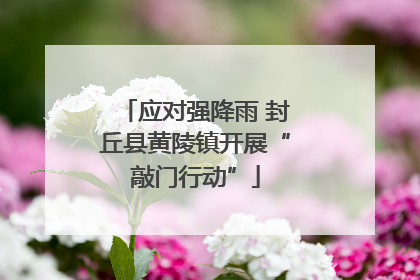 应对强降雨 封丘县黄陵镇开展“敲门行动”