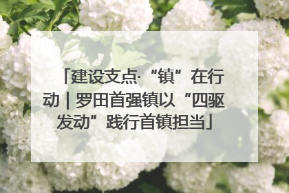 建设支点·“镇”在行动｜罗田首强镇以“四驱发动”践行首镇担当