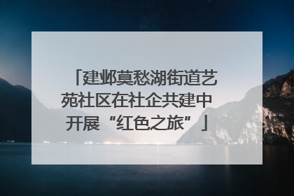 建邺莫愁湖街道艺苑社区在社企共建中开展“红色之旅”