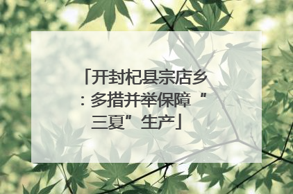 开封杞县宗店乡：多措并举保障“三夏”生产