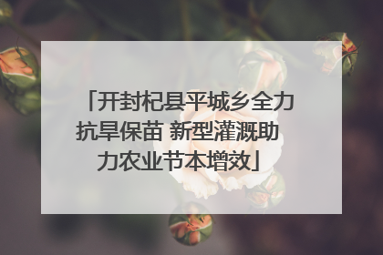 开封杞县平城乡全力抗旱保苗 新型灌溉助力农业节本增效