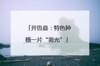 开鲁县：特色种植一片“薯光”