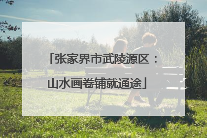 张家界市武陵源区：山水画卷铺就通途