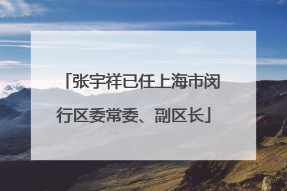 张宇祥已任上海市闵行区委常委、副区长