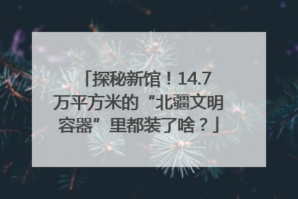 探秘新馆！14.7万平方米的“北疆文明容器”里都装了啥？