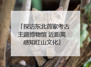探访东北首家考古主题博物馆 近距离感知红山文化