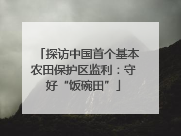 探访中国首个基本农田保护区监利：守好“饭碗田”