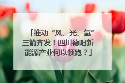 推动“风、光、氢”三箭齐发！四川德阳新能源产业何以领跑？