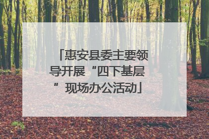 惠安县委主要领导开展“四下基层”现场办公活动