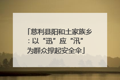 慈利县阳和土家族乡：以“迅”应“汛” 为群众撑起安全伞