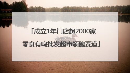 成立1年门店超2000家 零食有鸣批发超市领跑赛道
