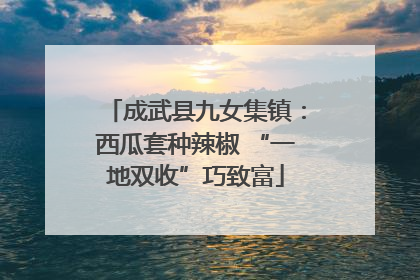 成武县九女集镇：西瓜套种辣椒 “一地双收”巧致富