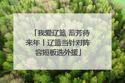 我爱辽篮 蓄芳待来年丨辽篮当针对阵容短板选外援