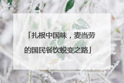 扎根中国味，麦当劳的国民餐饮蜕变之路