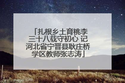 扎根乡土育桃李 三十八载守初心 记河北省宁晋县耿庄桥学区教师张志涛