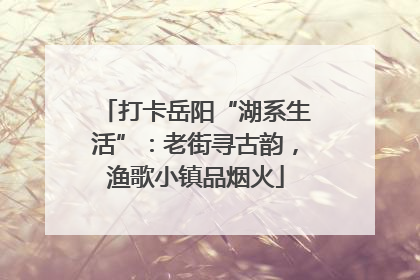 打卡岳阳“湖系生活”：老街寻古韵，渔歌小镇品烟火