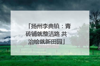 扬州李典镇：青砖铺就整洁路 共治绘就新田园