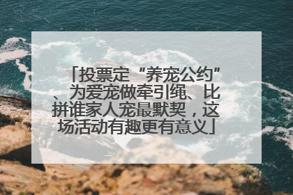 投票定“养宠公约”、为爱宠做牵引绳、比拼谁家人宠最默契，这场活动有趣更有意义