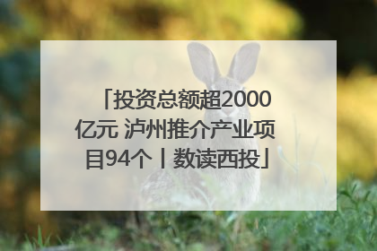 投资总额超2000亿元 泸州推介产业项目94个丨数读西投