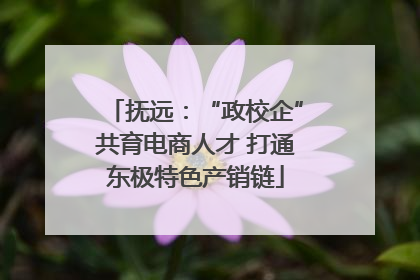 抚远：“政校企”共育电商人才 打通东极特色产销链