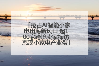 抢占AI智能小家电出海新风口 超100家跨境卖家探访慈溪小家电产业带