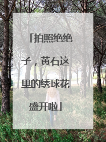 拍照绝绝子，黄石这里的绣球花盛开啦
