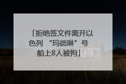 拒绝签文件离开以色列 “玛德琳”号船上8人被拘