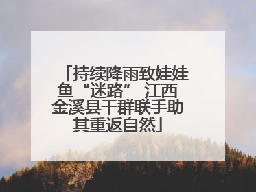 持续降雨致娃娃鱼“迷路” 江西金溪县干群联手助其重返自然