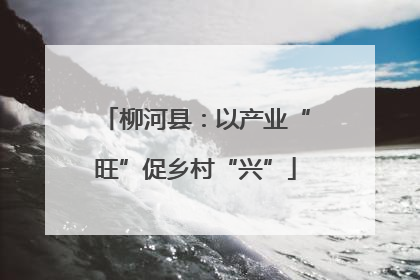 柳河县：以产业“旺”促乡村“兴”