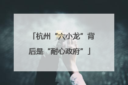 杭州“六小龙”背后是“耐心政府”