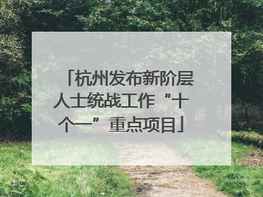 杭州发布新阶层人士统战工作“十个一”重点项目