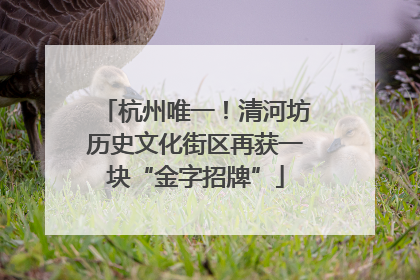 杭州唯一！清河坊历史文化街区再获一块“金字招牌”