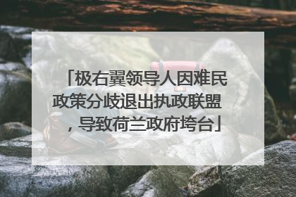 极右翼领导人因难民政策分歧退出执政联盟，导致荷兰政府垮台