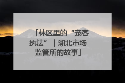林区里的“宠客执法”｜湖北市场监管所的故事
