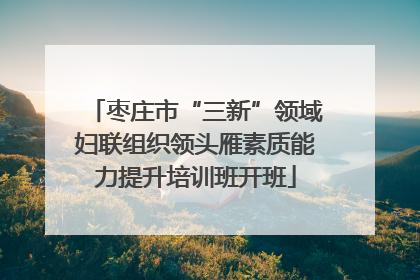 枣庄市“三新”领域妇联组织领头雁素质能力提升培训班开班